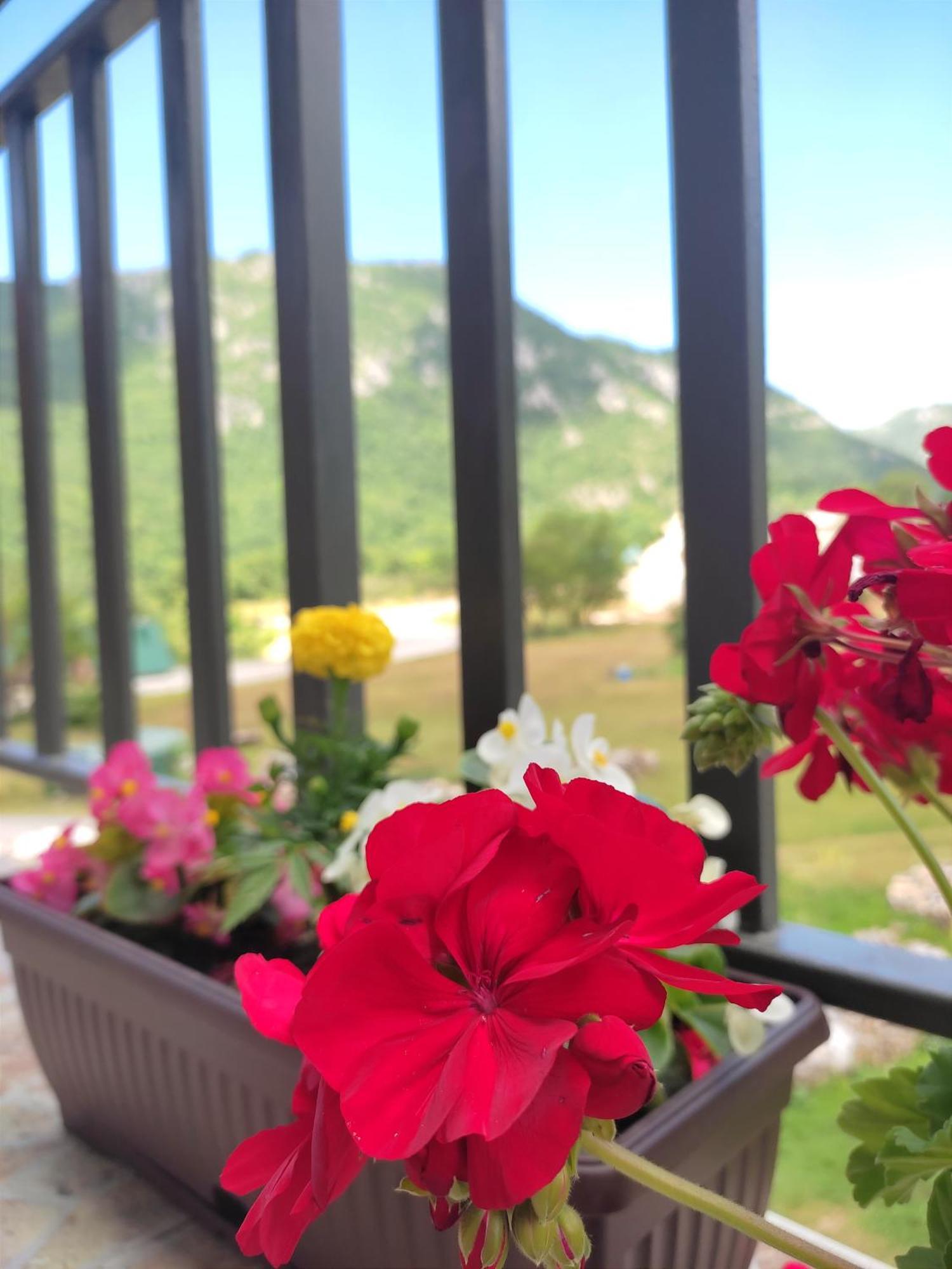 Apartment La Casa Плужине Экстерьер фото