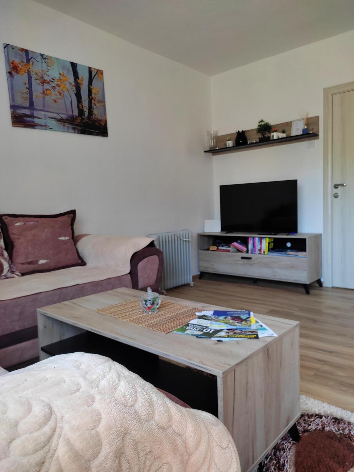 Apartment La Casa Плужине Экстерьер фото