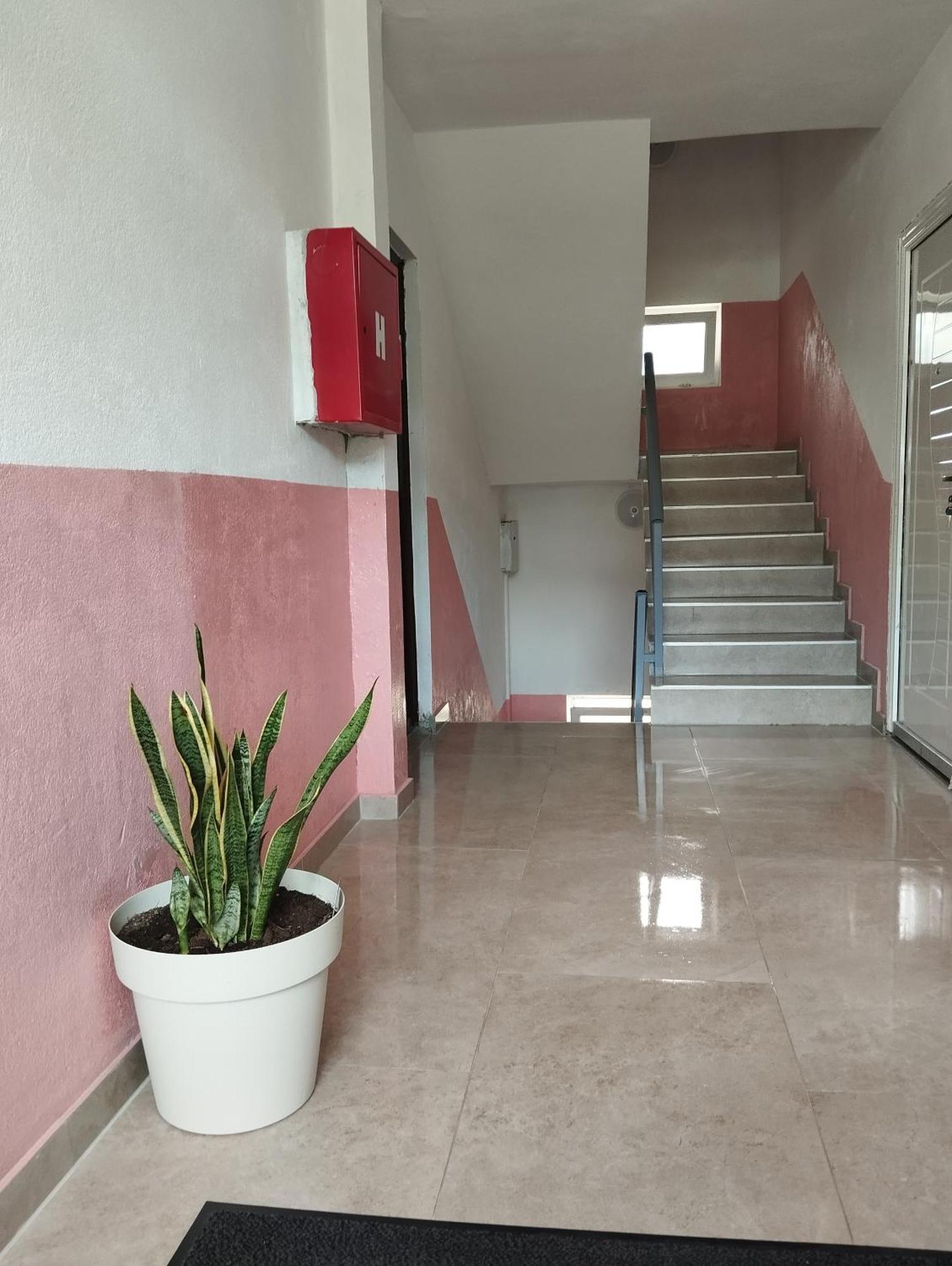 Apartment La Casa Плужине Номер фото